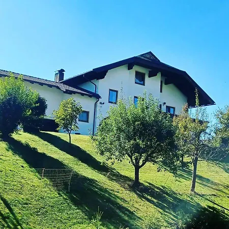 Schaller Feistritz an der Drau