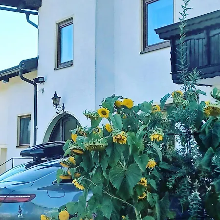 Schaller Feistritz an der Drau