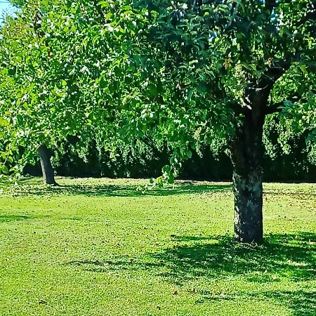 Schaller דירה Feistritz an der Drau