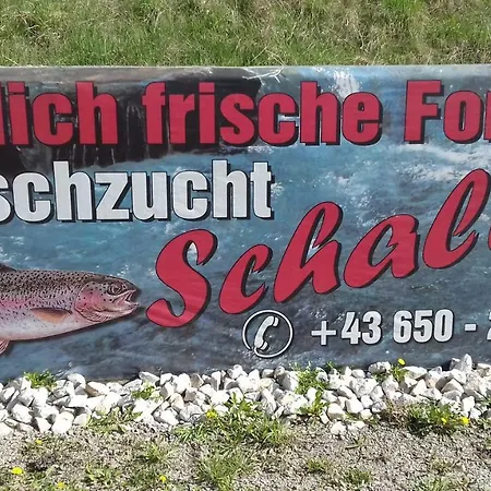 Schaller Feistritz an der Drau