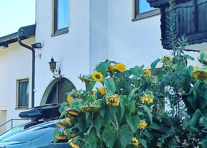 Schaller Feistritz an der Drau