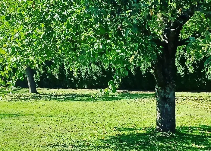 Schaller Appartamento Feistritz an der Drau