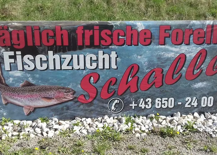 Schaller Feistritz an der Drau